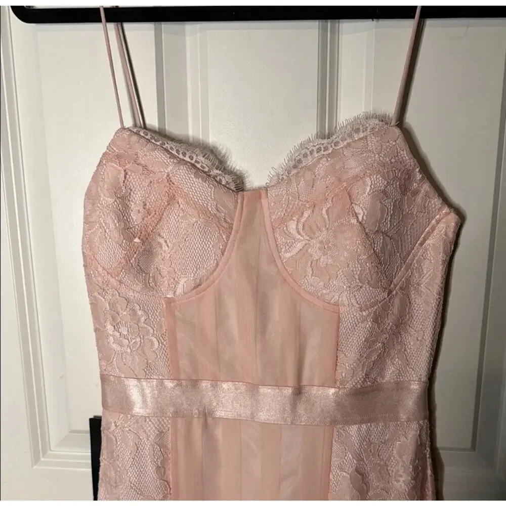 Bebe Blush Striped Mesh Lace Satin Midi Dress - Picture 5 of 6